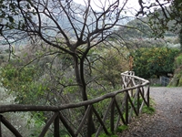 cantara gurne23122011 065
